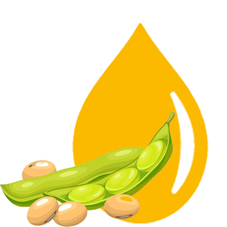 Ferrooiltek Soyabean Seed