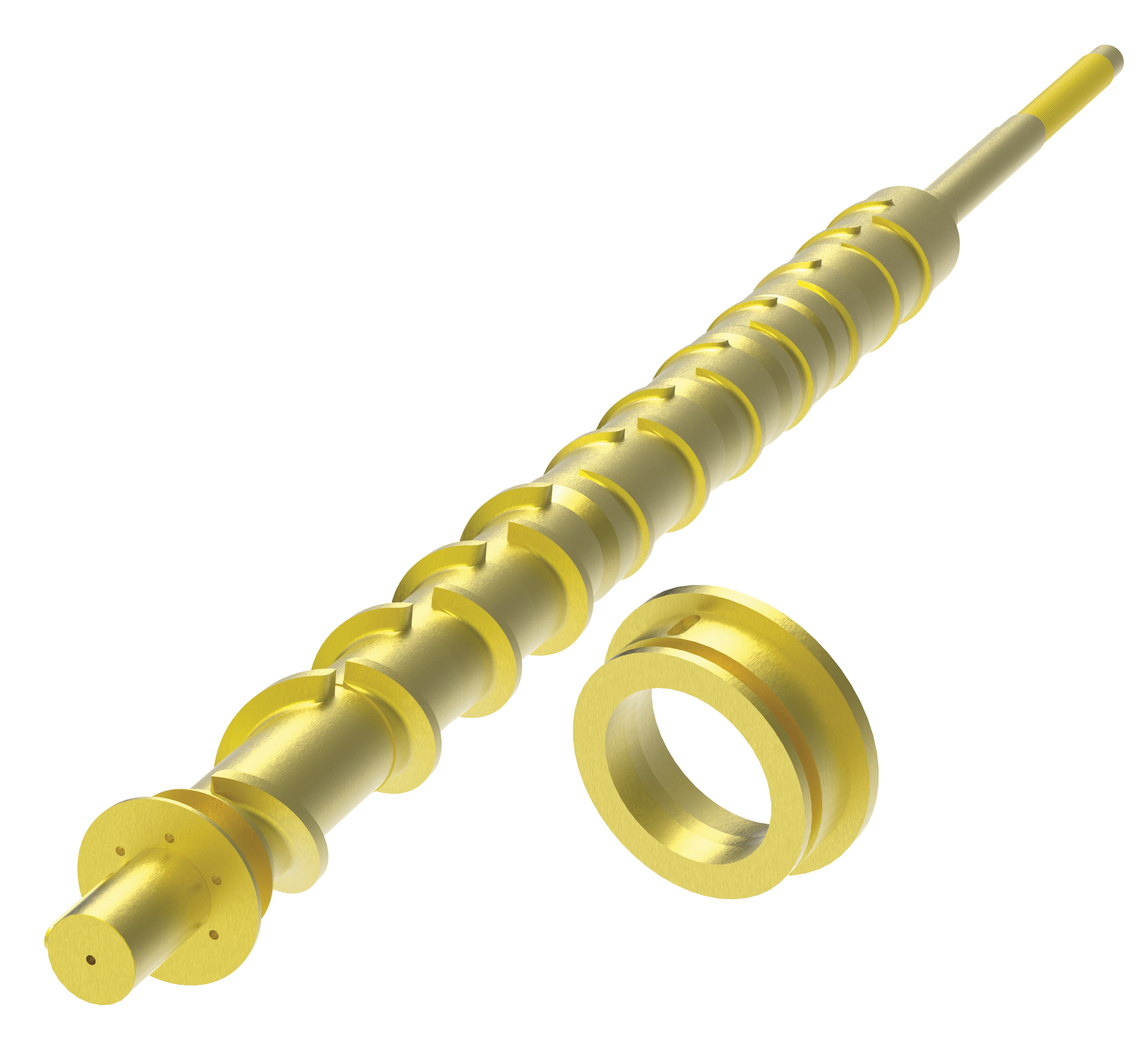 Choke Ring & Worm Assembly