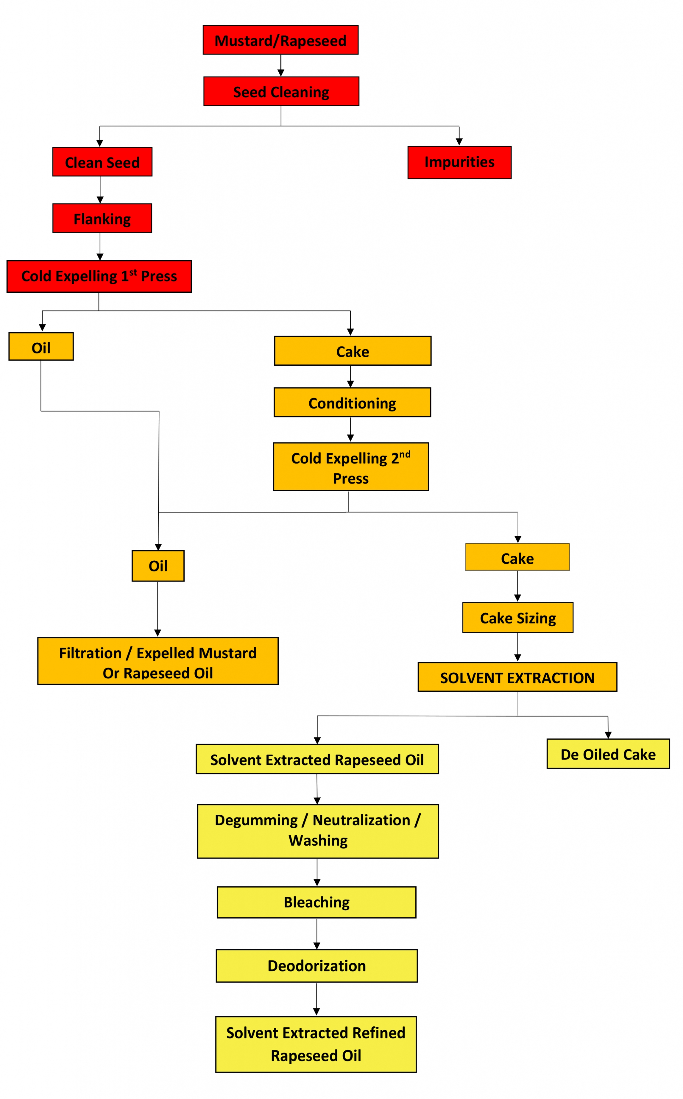 MUSTARD & RAPE OIL SEED TECHNOLOGY