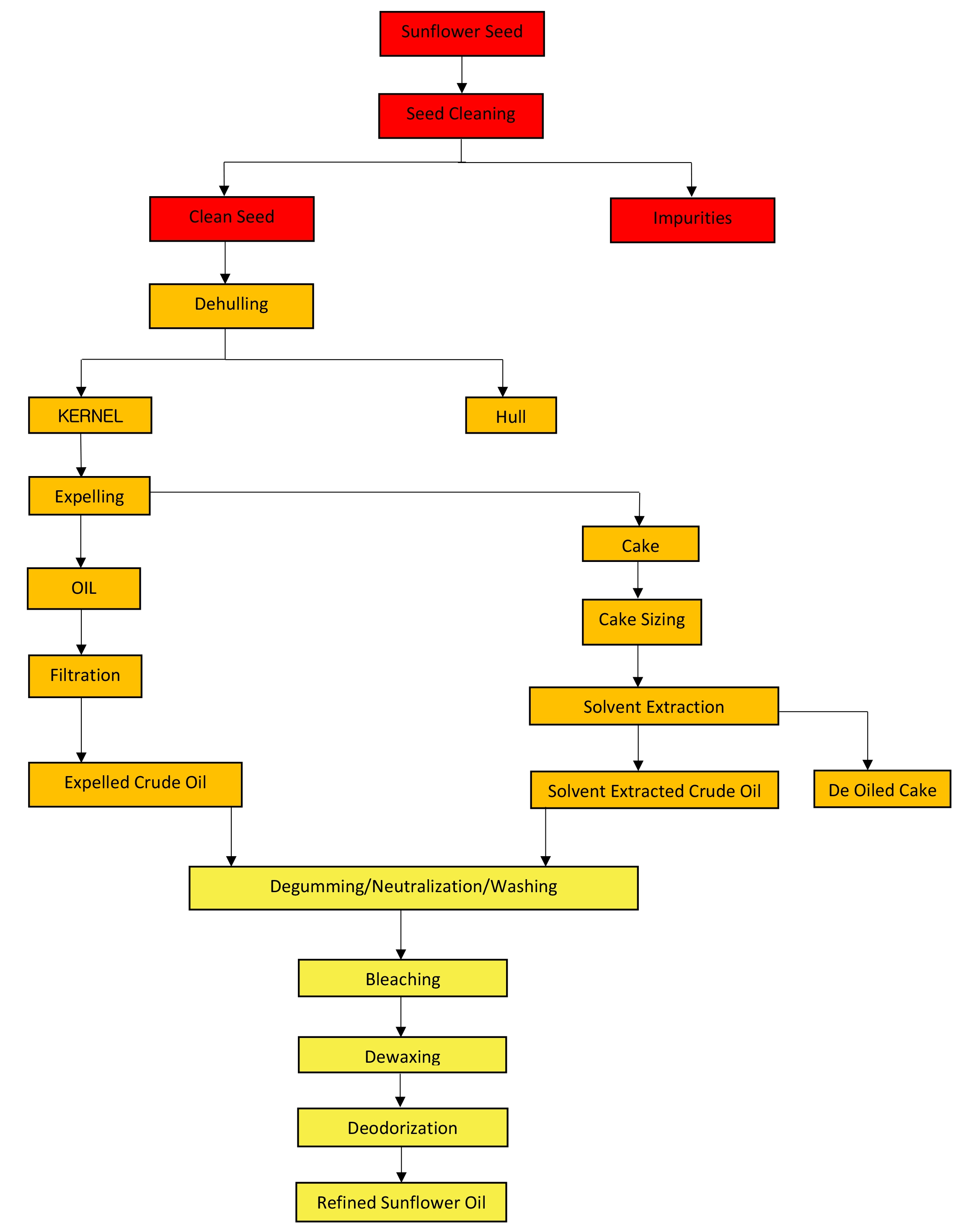 Sunflower Oil Seed Technology