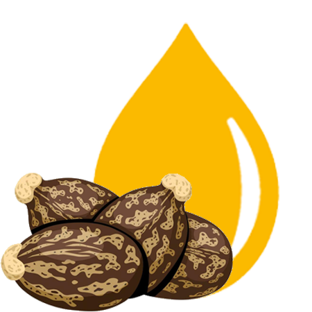 Ferrooiltek Castor Seed